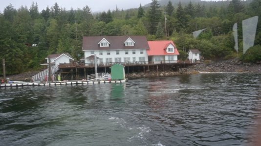 George Inlet.JPG
