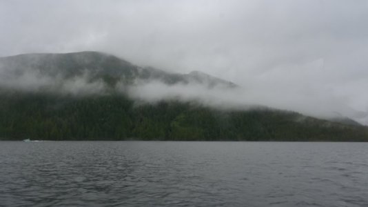 Fog.JPG