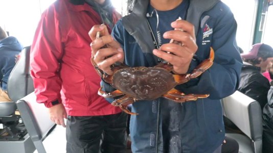 crab.JPG