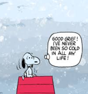 1734196902581.png