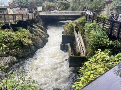 salmon ladder.jpeg
