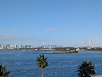 PXL_20241108_000504233.jpg