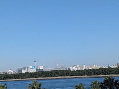 PXL_20241108_000533166.jpg