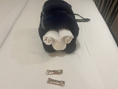 Towel animal.jpeg