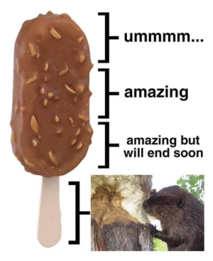 675d38f2424d7.png