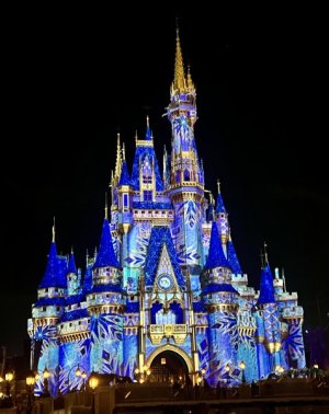 IMG_3733.jpeg