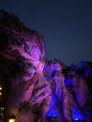 IMG_7335.jpeg