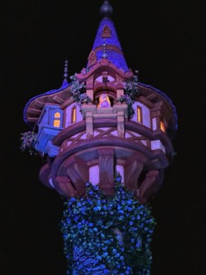 IMG_7351.jpeg