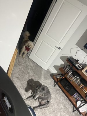 IMG_6761.jpeg