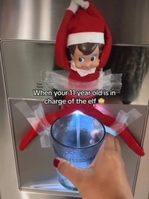 elf.jpg
