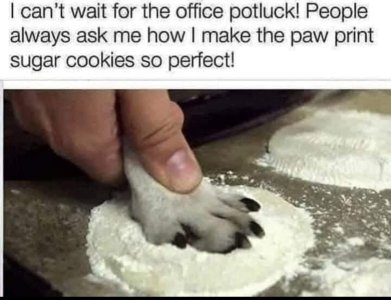 IMG_1091.jpeg