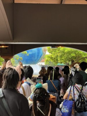 IMG_7445.jpeg IMG_7445.jpeg