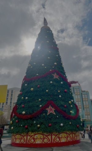 IMG_4053.jpeg