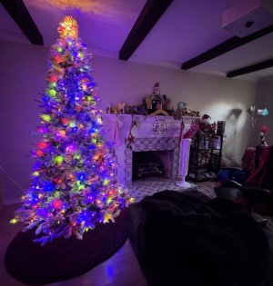 IMG_6739.jpeg