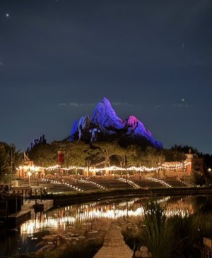IMG_2117.jpeg