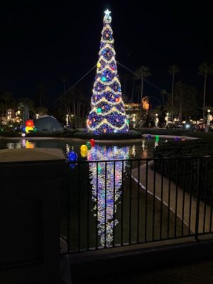 IMG_2135.jpeg