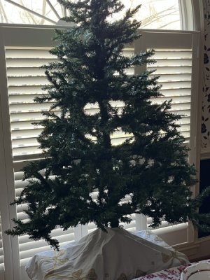 IMG_7488.jpeg