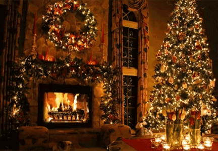 IMG_4742.gif