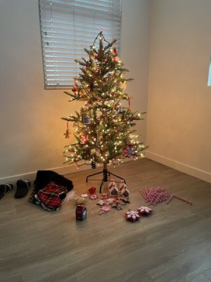 IMG_3073.jpeg