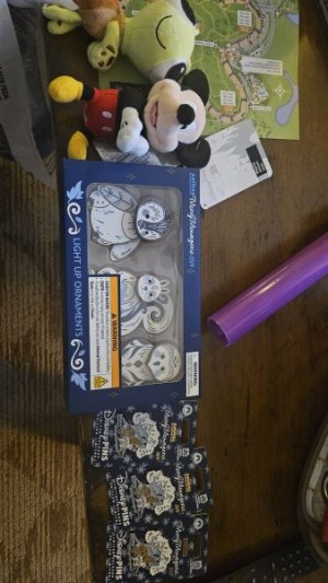 20241125_063904.jpg