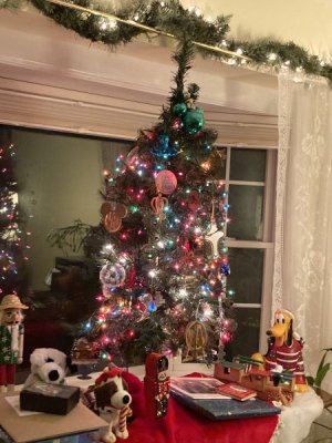 IMG_4140.jpeg