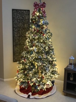 IMG_7467.jpeg