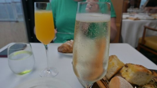 Palo drinks.JPG Palo drinks.JPG
