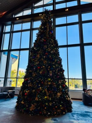 IMG_2024-12-19-193935.jpg
