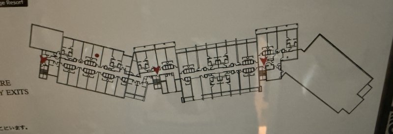 IMG_4347.jpeg