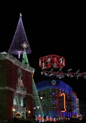 IMG_4803.jpeg