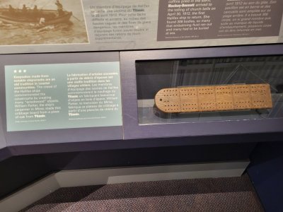 20240825_115424.jpg