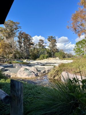 IMG_0243.jpeg