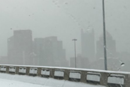 IMG_5402.jpeg