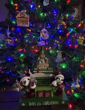 IMG_8933.jpeg