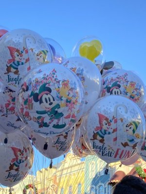 IMG_2532.jpeg