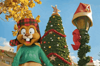 IMG_4790.gif