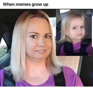 1735143865845.jpeg
