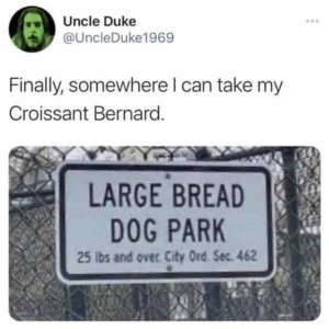 Screenshot_20240908-155447_Instagram.jpg