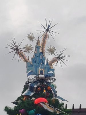 20241211_122557.jpg