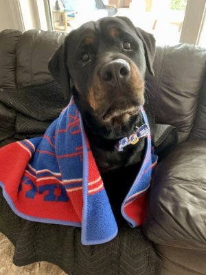 bills boy.jpg