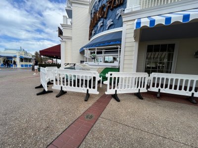 IMG_0516.jpeg