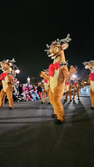 20241129_233011.jpg