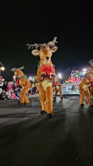 20241129_233017.jpg