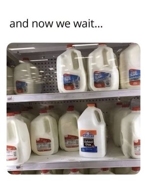 471618473_122165850128280663_885258720352814364_n.jpg