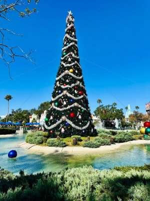 IMG_2024-12-28-091735.jpg