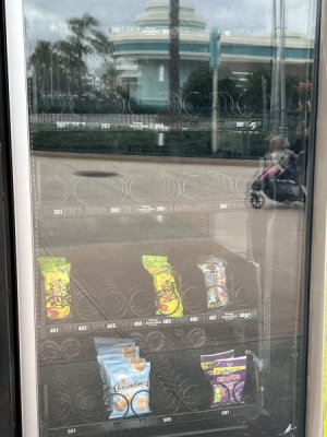 IMG_2928.jpeg