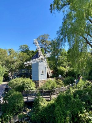 IMG_0226.jpeg
