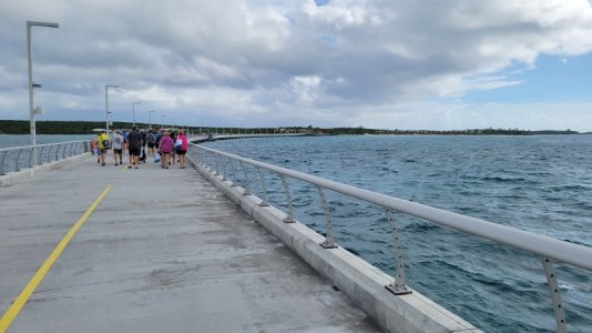 20241018_100604.jpg
