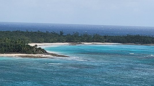 20241018_155921.jpg