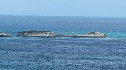 20241018_160217.jpg